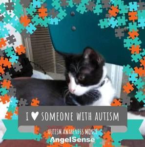 Meet your Posher, Ella